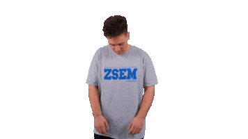 Zagreb School of Economics and Management Sticker