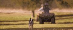 Luke Bryan GIF