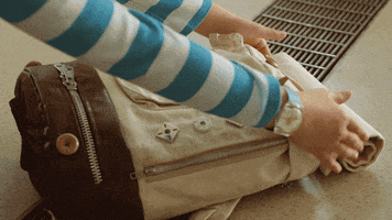 dino dana's backpack