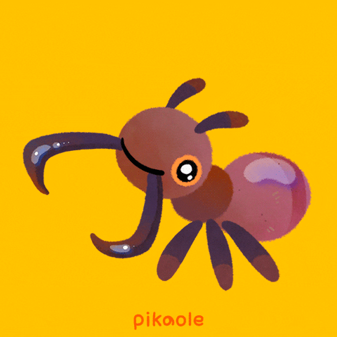 Bug Insect GIF by pikaole