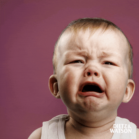 giphy.gif?cid=ecf05e479q9t0gmhj8vfrtm7nz