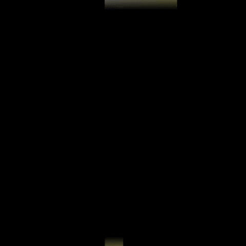 Joe Evangelisti GIF
