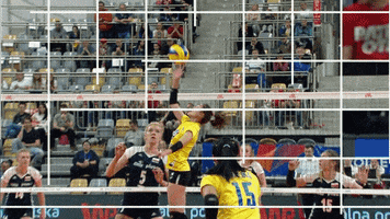 Joy Point GIF by Volleyball World