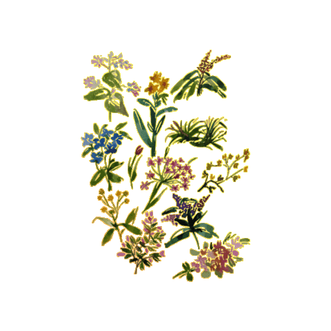 Art Flower Sticker