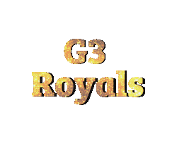 Cheerleading Sticker by graz giants