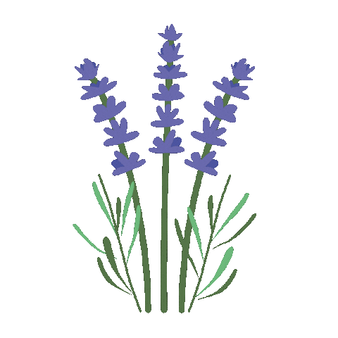 Source: Kew Gardens Source: Kew Gardens