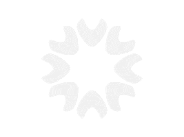 Meteone Sticker