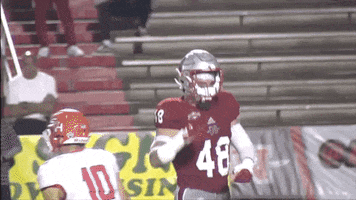 Nicholls Colonels GIF by GeauxColonels