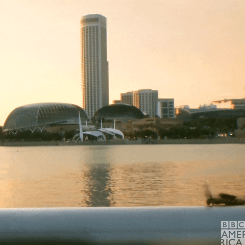 Singapore Insect GIF by BBC America