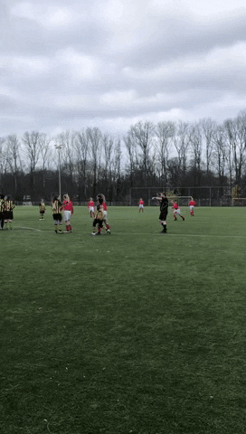 sv DSO GIF