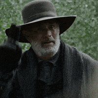 Tom Hanks Friend GIF by News of the World