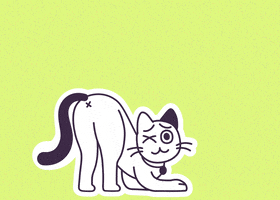 Cat Oops GIF by 4EveryPet