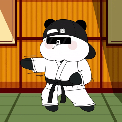 Kick Karate GIF by Kanpai Pandas