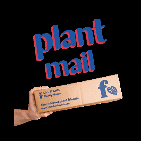 Friends or Friends GIF