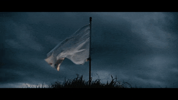 white flag grad life GIF by Pure Noise Records