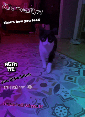 Thats How You Feel GIF