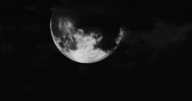 moon GIF