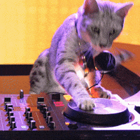 Cat DJ - Kitty Club Funny Disc Jockey' Sticker