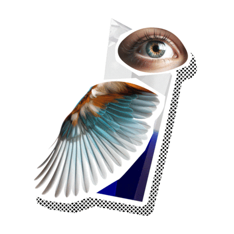 Finaleplzen Sticker by Festival Finále