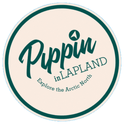 Winter Aurora Sticker by Pippin in Lapland