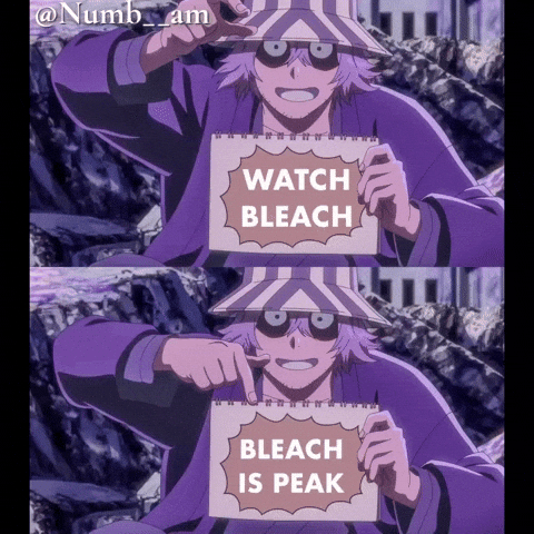 Bleach GIF