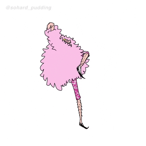 giphy.gif