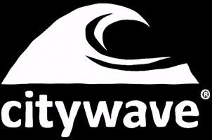 citywave fun surf surfing storytime GIF