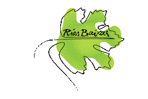 Wine Leaf Sticker by DO Rías Baixas
