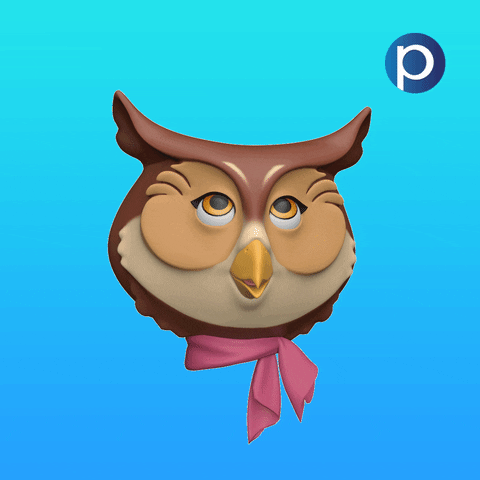 Owl Sowa GIF by Pracuj.pl