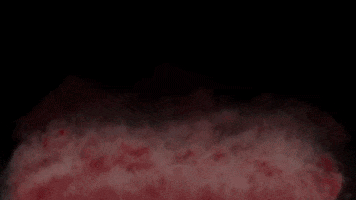 GIF by Orange Lutheran HS