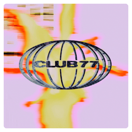 GIF by Club 77 Sydney