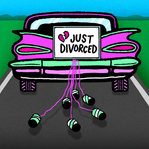 divorces meaning, definitions, synonyms