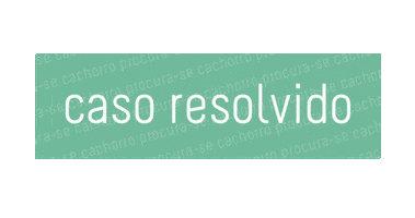Andrea Procura Sticker by Casa Das Capas
