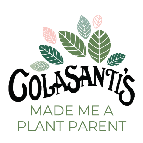 Colasanti's Tropical Gardens Sticker