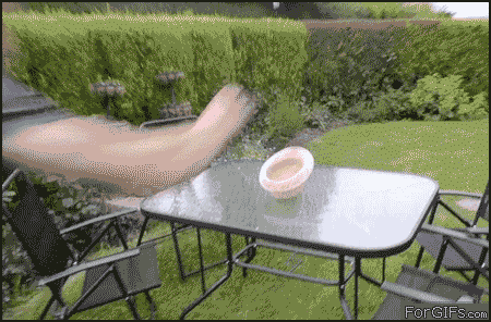 flip