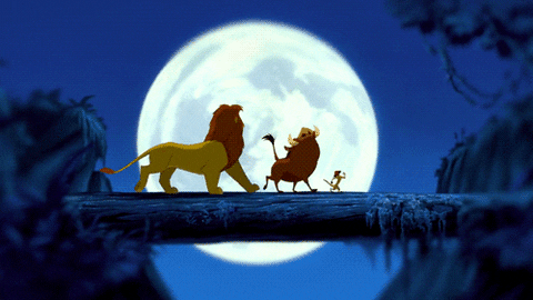  the lion king love it GIF