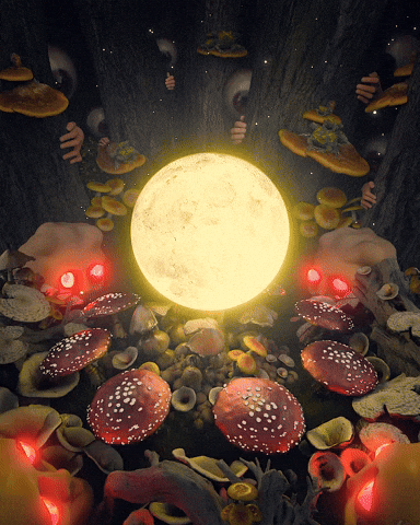 Moon Forest GIF by davidvnun