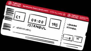 Boardingpass Meganmckean GIF by Turkish Airlines