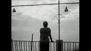 scienceviz ferry radax konrad bayer sonne halt GIF