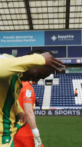 West Brom Wba GIF by West Bromwich Albion