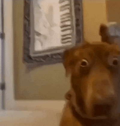 Redfinapproved GIF by Rocket Mortgage