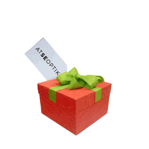 Christmas GIF by Homey Media