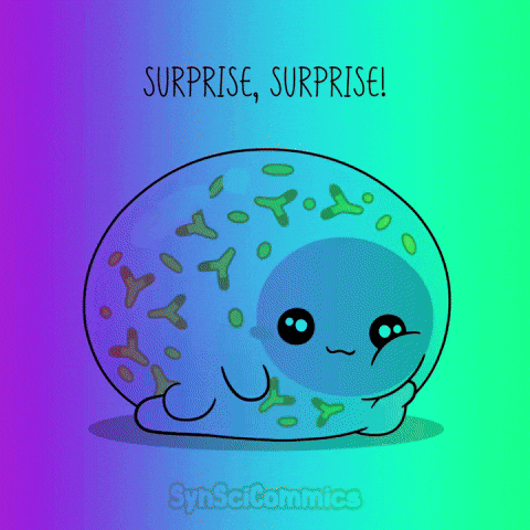 Fun Mood GIF