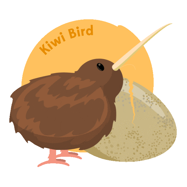 Kiwi Bird Nz Sticker by Pure New Zealand for iOS & Android GIPHY