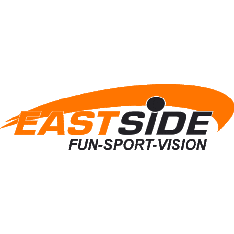 Fun Sport Vision Sticker