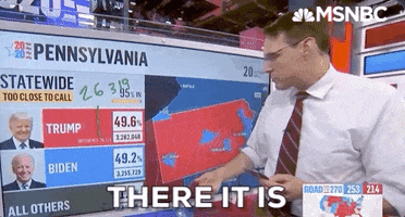 Election 2020 GIF by MSNBC