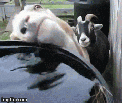 So Thirsty GIFs - Get the best GIF on GIPHY