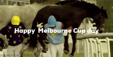Happy Melbourne Cup Day GIF