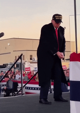 Trump GIF
