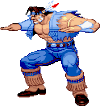 Street Fighter Sticker